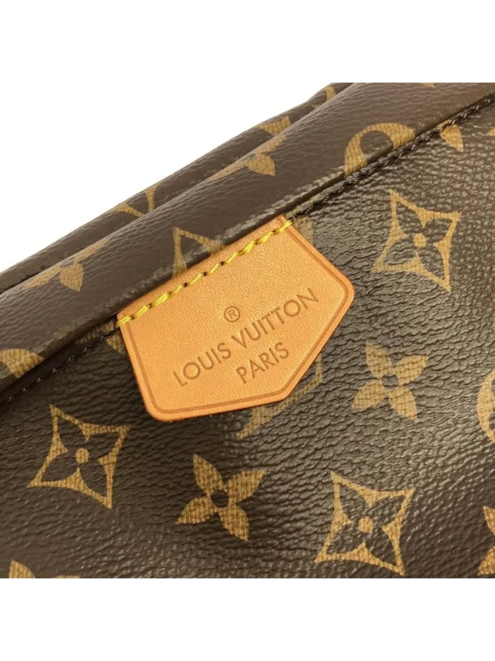 Louis Vuitton Monogram Bum